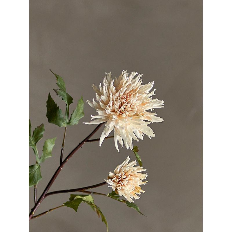 Stengel Chrysant | naturel | Artificial Flowers