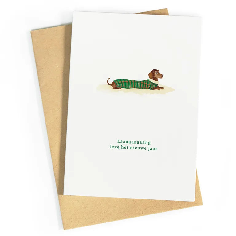 Laaaaang leve het nieuwe jaar | postkaart | Studio Zwoane