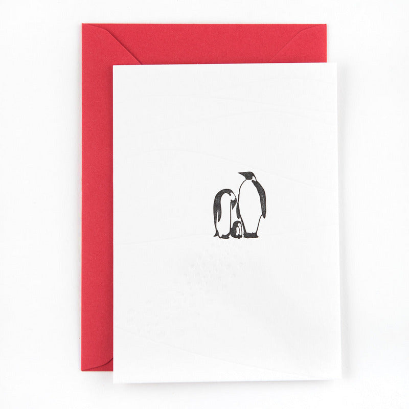 Mountain pinguins | postkaart | Studio Flash - LETT.