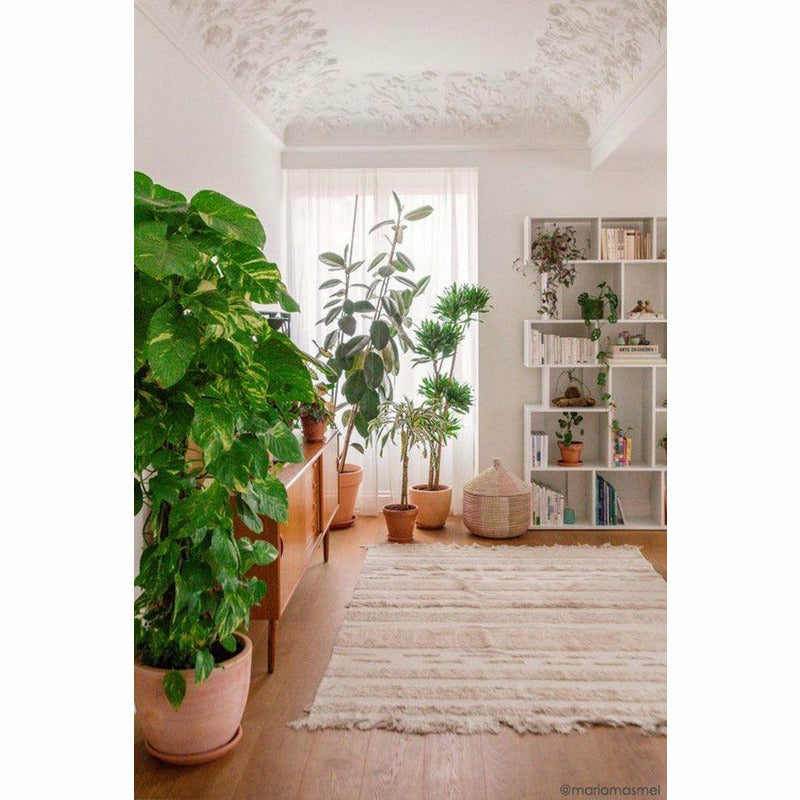 Wasbaar tapijt | Air Natural | verschillende afmetingen | Lorena Canals